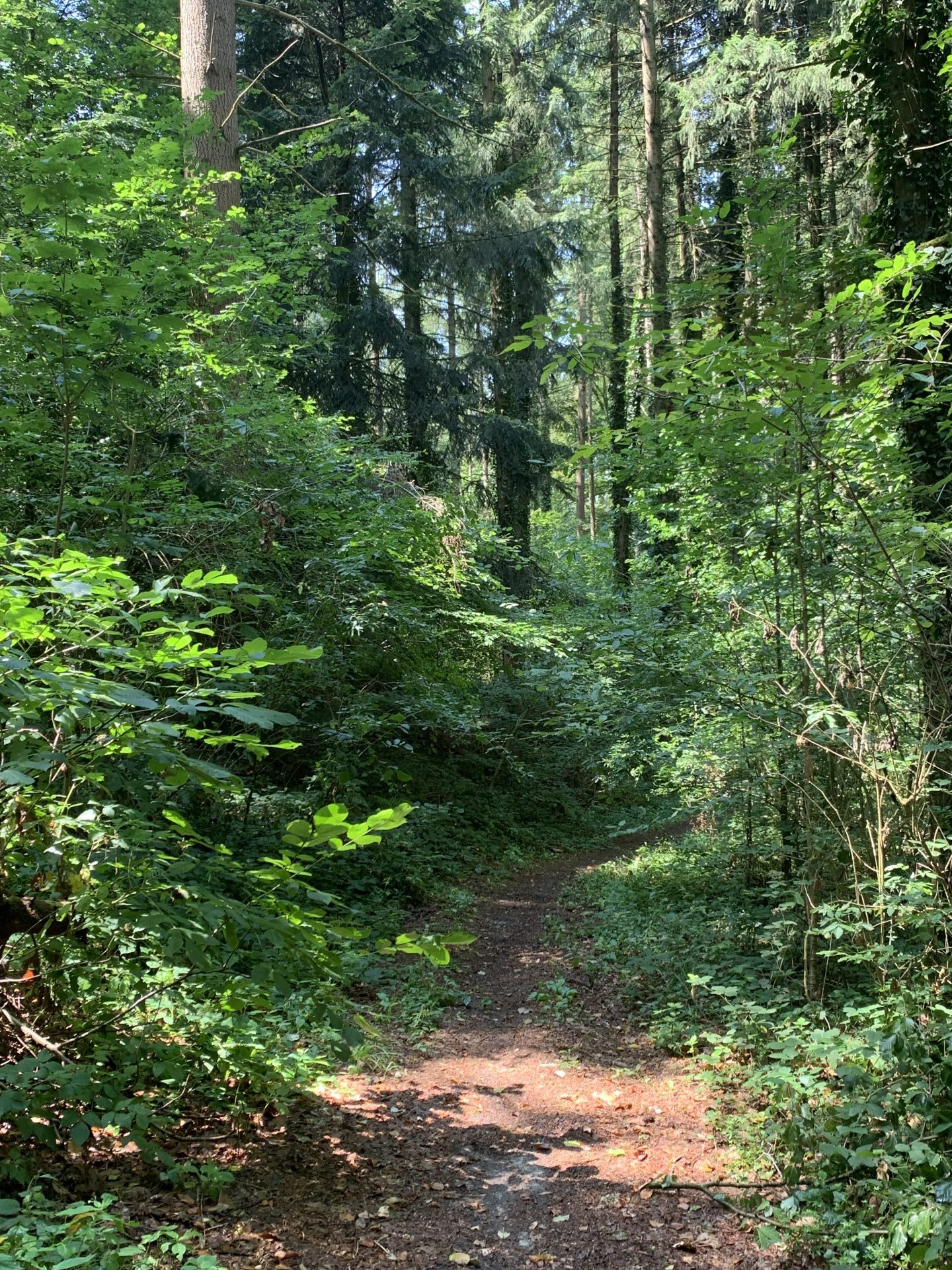 Weg führte mich über viele Stationen: von der Assistentin über 