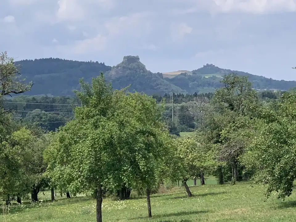 dann gehen oder sitzen wir, je nachdem, was guttut. Mit behutsamen Fragen